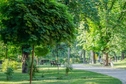 У Святошинському районі з&rsquo;явиться сквер Героїв ОУН