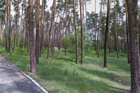 Громаді Києва повернули зелену зону на Оболоні, яку могли забудувати