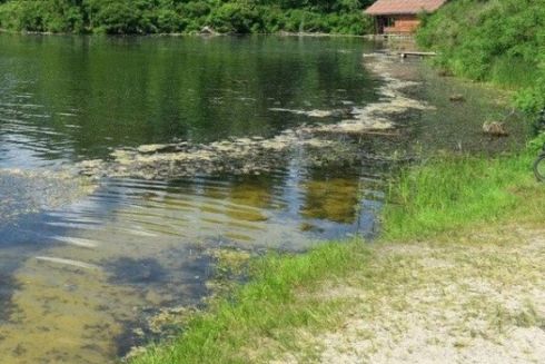 Прокуратура вимагає повернути Києву заповідні землі в Гідропарку, які незаконно забудували