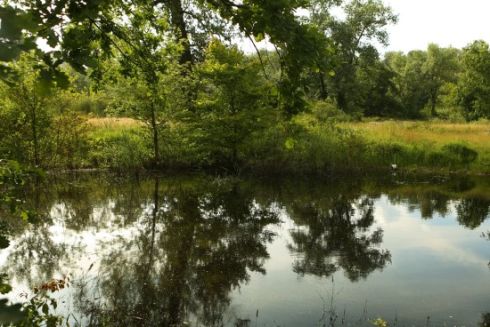 Суд отменил решение о застройке Галерного острова