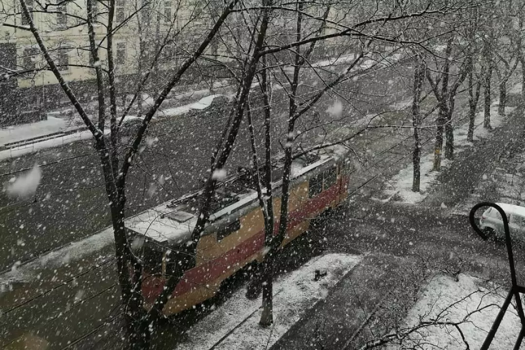 Фото дня: Снегопад в Киеве