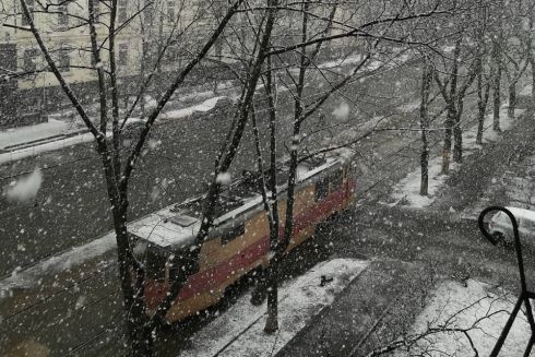 Фото дня: Снегопад в Киеве