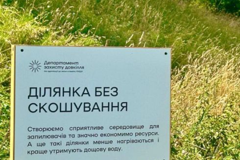 У Києві тимчасово не коситимуть траву через аномальну спеку