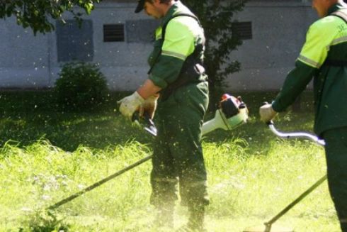 У Києві знов почали косити траву у парках та скверах