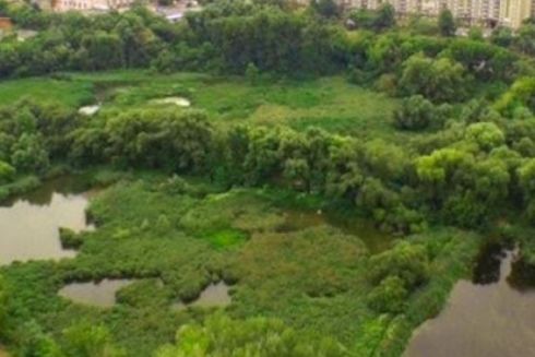 Кияни просять створити на Совських ставках парк для реабілітації ветеранів — петиція