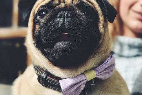 Сезон відкрито: перший #КуражБазар в Instagram