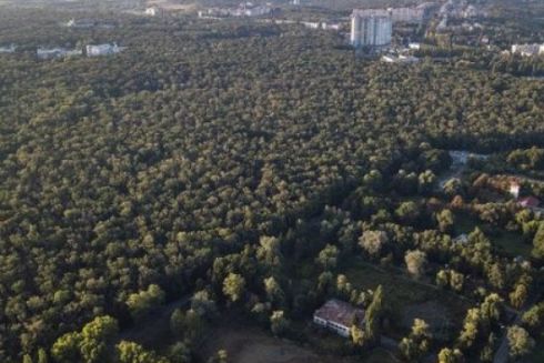 На ВДНГ цієї зими відкриється глемпінг “Намети”: що там буде