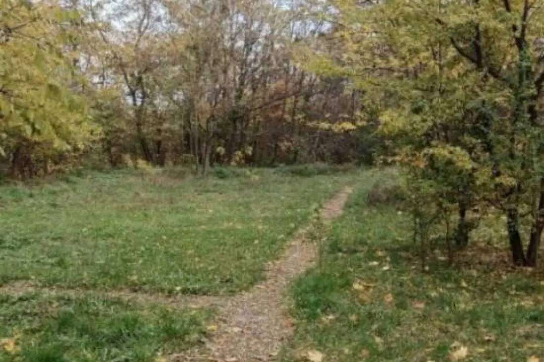 У львівському парку облаштують інклюзивний спортмайданчик та доріжку для прогулянок