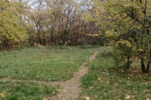 У львівському парку облаштують інклюзивний спортмайданчик та доріжку для прогулянок