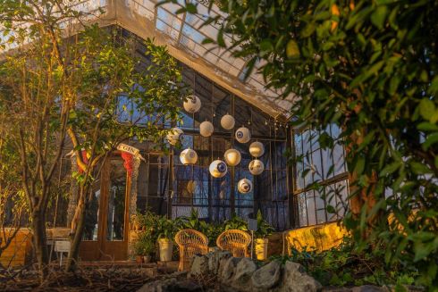 На ВДНХ открывается оранжерея и парк качелей: график работы