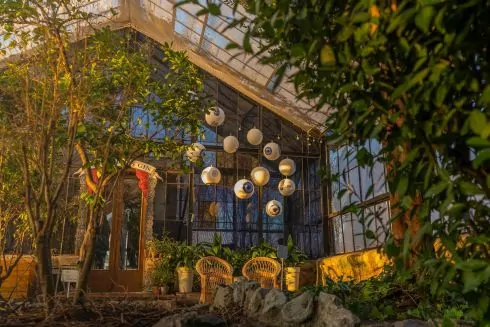 На ВДНХ открывается оранжерея и парк качелей: график работы