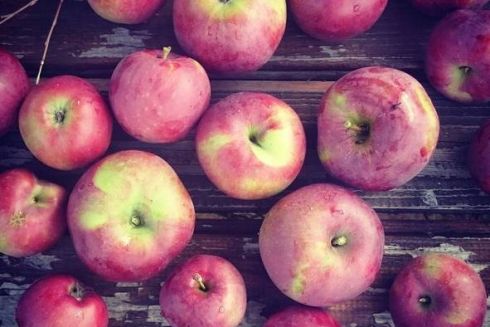 Друге життя старих речей, дитинство в Перу, скасований Kiev Sunday Breakfast