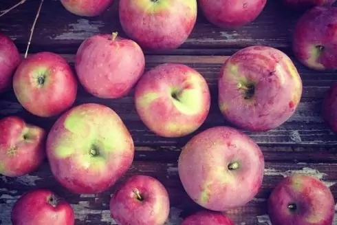 Друге життя старих речей, дитинство в Перу, скасований Kiev Sunday Breakfast