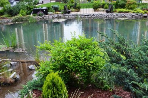 В Киеве планируют обустроить дождевые сады и озеленить трамвайные пути