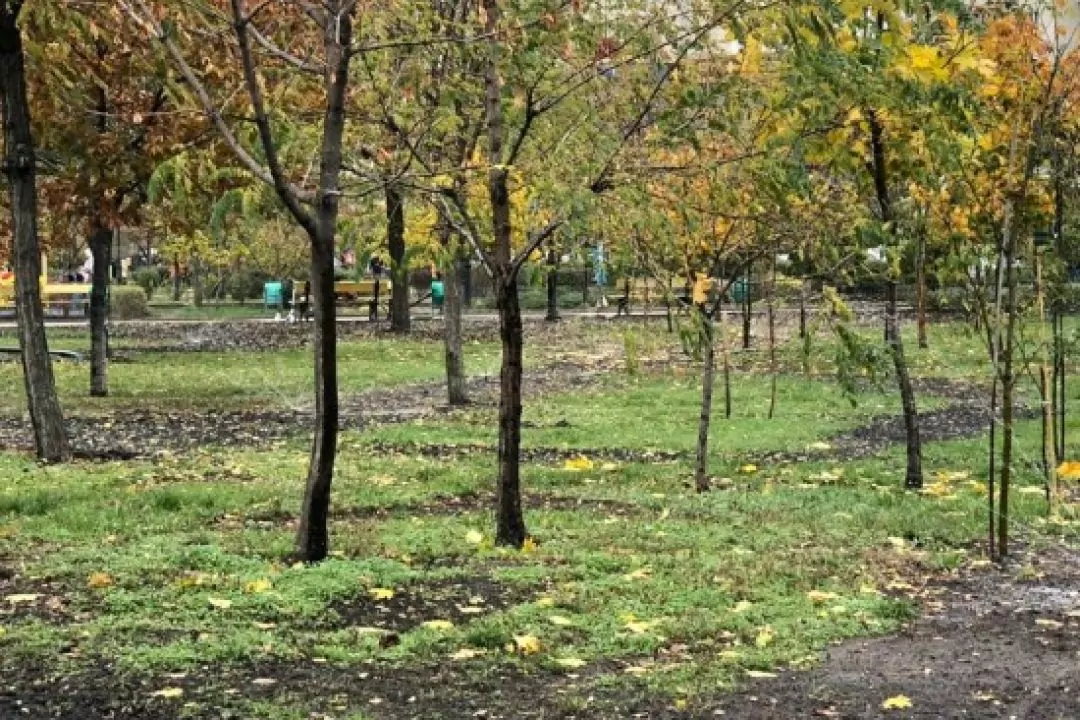 У парку &laquo;Позняки&raquo; хочуть облаштувати систему поливу за 8,8 млн гривень