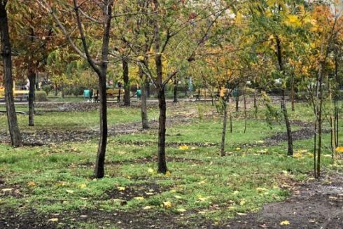 В парке &laquo;Позняки&raquo; хотят обустроить систему полива за 8,8 млн гривен