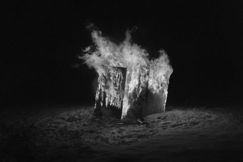 Стартував другий конкурс новаторської фотографії Bird in Flight Prize