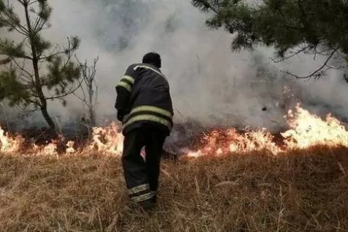 Пожежа знищила третину туристичних об'єктів у Чорнобилі