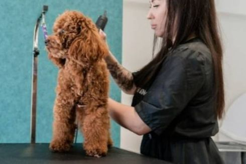 В Україні запускають гранти для власників мікробізнесу: як подати заявку