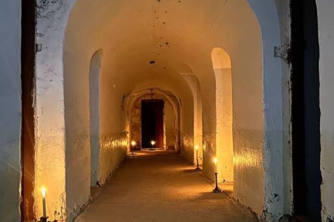 Дивіться, як активісти відновили палац Щеньовських на Вінниччині