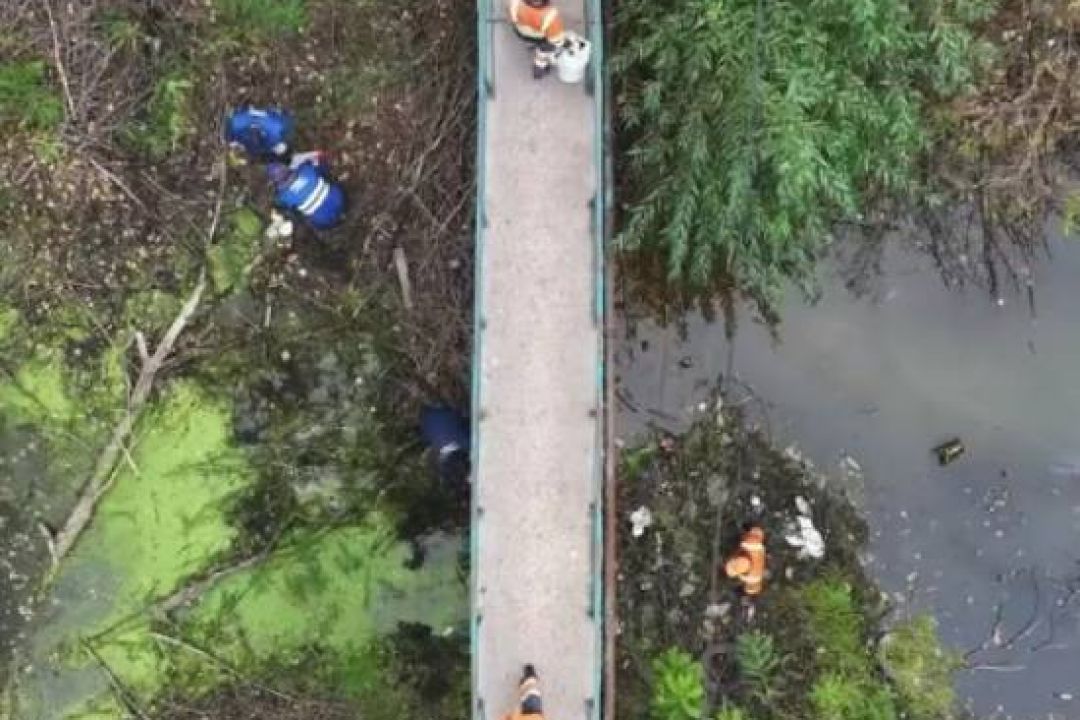 У Києві очистили озеро Зариваха та демонтували незаконну дамбу