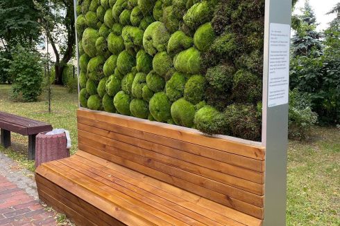 Фото. У центрі Києва з'явилася стіна з мохом для очищення повітря