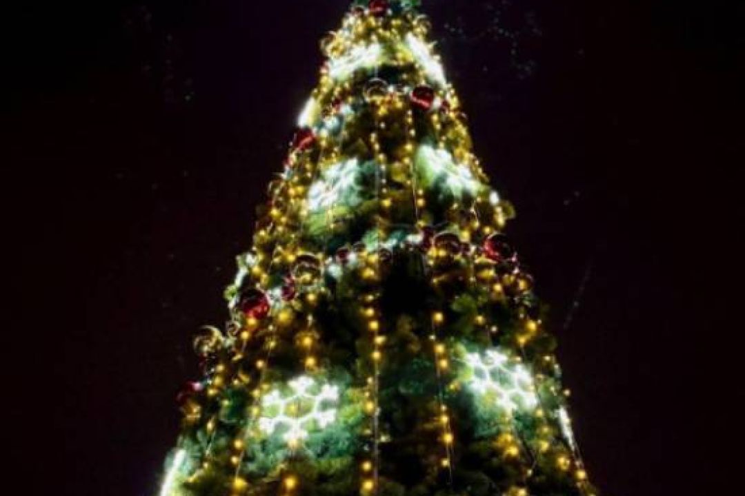 У Дарницькому районі встановили 10-метрову ялинку та яскраві фотозони: фото