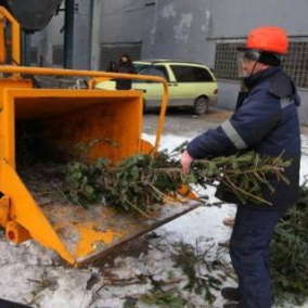 У Києві запрацювали пункти прийому новорічних ялинок