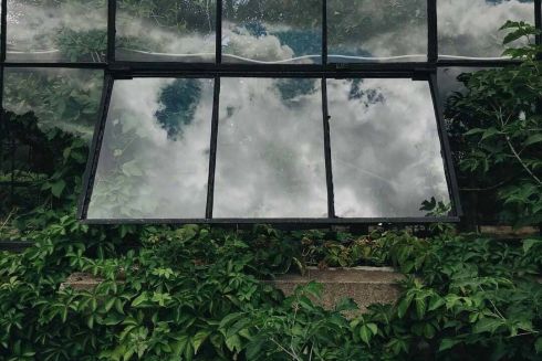 Оранжерею на ВДНХ снова закроют на реконструкцию. Когда ее можно посетить