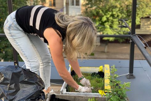 Найкраще за тиждень: Публічний сад-город на даху в Кропивницькому та серіали грудня