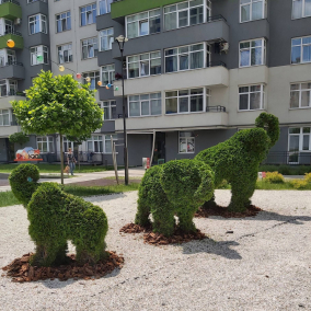 Фото. Жители многоэтажки во Львове собственными силами обустроили оригинальный сад во дворе
