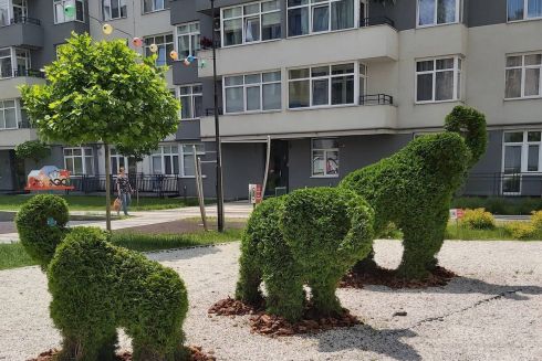 Фото. Жители многоэтажки во Львове собственными силами обустроили оригинальный сад во дворе