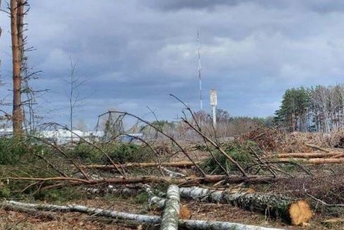 «Нова пошта» вирубала частину лісу для будівництва терміналу. Але обіцяє висадити нові