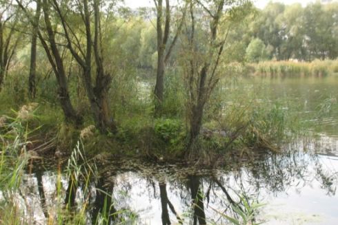 Ландшафтный заказник &laquo;Троещинские луга&raquo; окончательно спасли от застройки