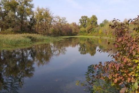 Галерний острів намагаються захистити від забудови в суді
