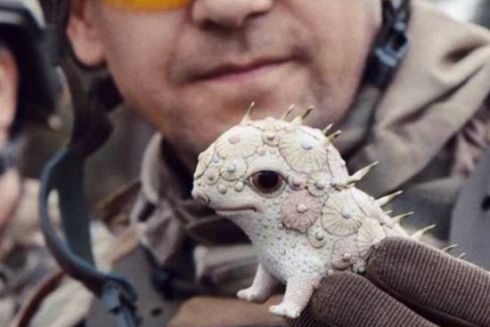 Український документальний фільм &ldquo;Порцелянова війна&rdquo; номінували на премію американських кінокритиків