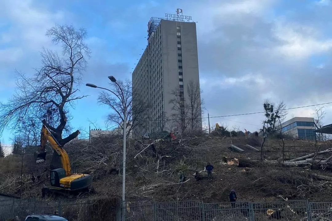 На горе возле &laquo;Олимпийского&raquo; срубили деревья для строительства 30-этажки