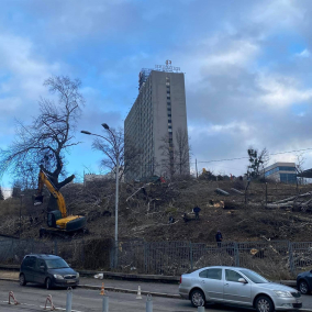 На горі біля «Олімпійського» зрубали дерева для будівництва 30-поверхівки
