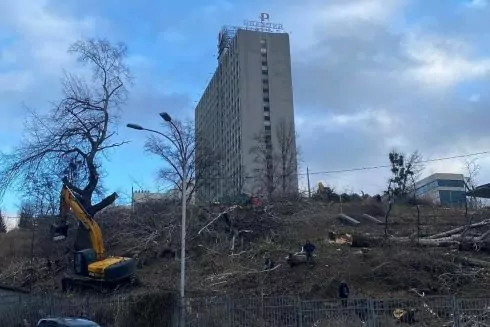 На горе возле &laquo;Олимпийского&raquo; срубили деревья для строительства 30-этажки