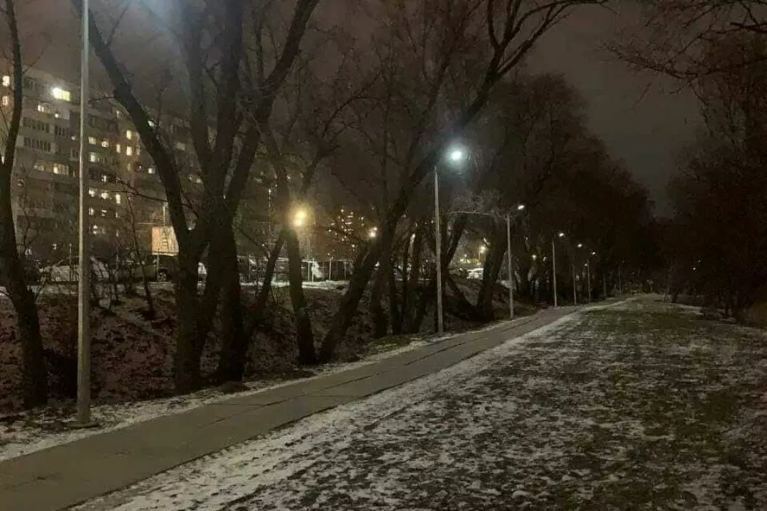 Возле озера на Троещине обустроили освещение на солнечных панелях