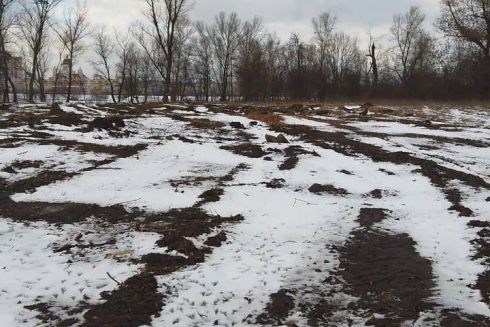 Фото. На Оболонському острові зрубали дерева: там має з'явитися розважальний парк