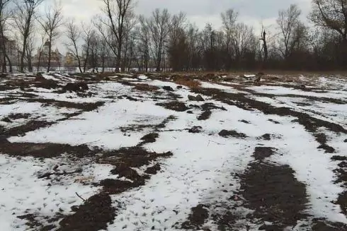 Фото. На Оболонському острові зрубали дерева: там має з'явитися розважальний парк