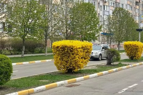 Итальянский фонд выделил &euro;500 000 на восстановление Бучи