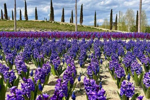 «Добропарк» на Київщині відновлює роботу