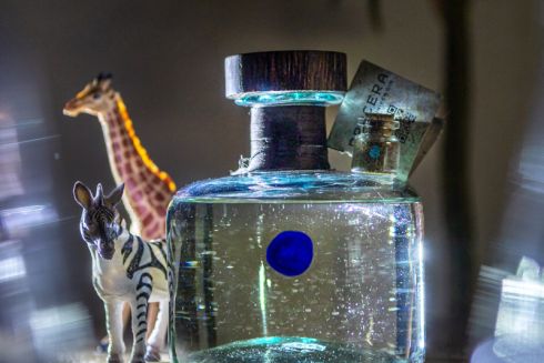 Найдорожчий африканський джин