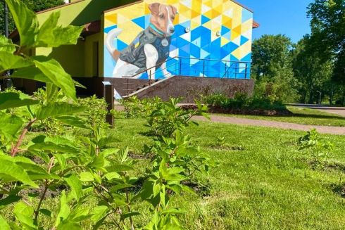 Фото. В парке «Отрадный» завершили создание мурала с псом Патроном