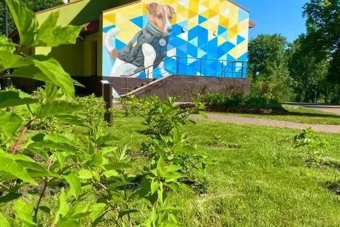 Фото. В парке &laquo;Отрадный&raquo; завершили создание мурала с псом Патроном