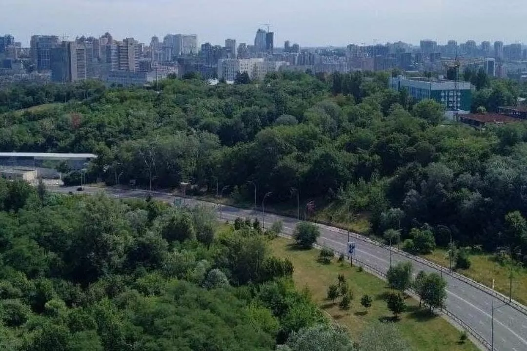 Замість зеленої зони біля Протасового яру хочуть побудувати паркінг: що відомо