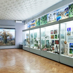 Природоведческий музей после атаки понес ущерб на 1,5 миллиона гривен: выбиты исторические оконные рамы