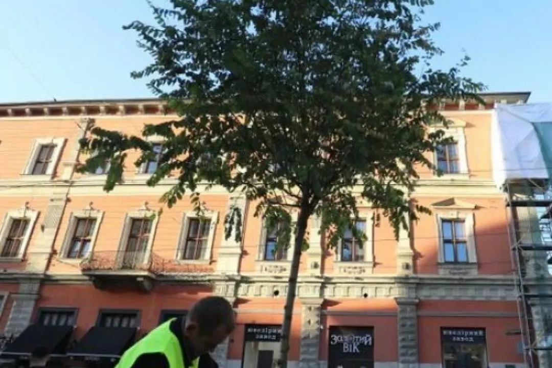 Во Львове высадят деревья на наиболее проблемных участках города